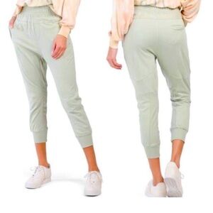 Young Fabulous & Broke YFB Sage Green Jogger Moto Joggers - small